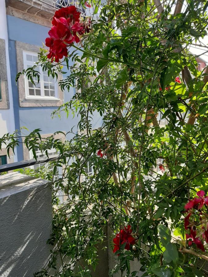 Amazing City Center Apartment Porto Villa Loios Exterior foto
